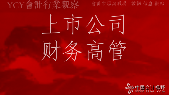 上市公司财务高管