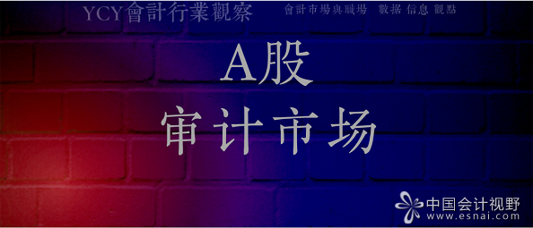 A审计市场