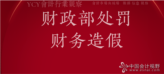 财政部处罚造假