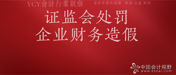 证监系统处罚财务造假