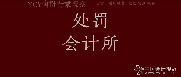 处罚会计所