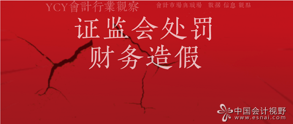证监会处罚财务造假