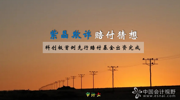 紫晶存储欺诈发行先行赔付猜想