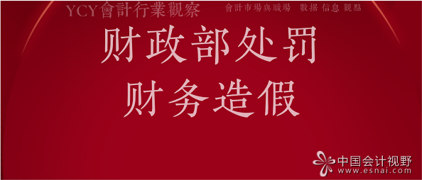 财务造假