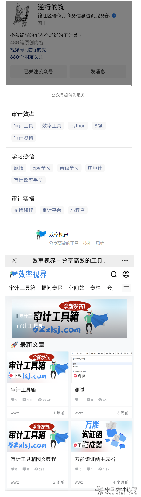 关于会计所工作中的IT技能2