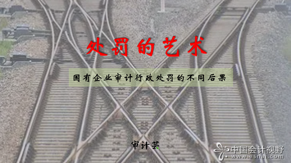 对CPA的处罚