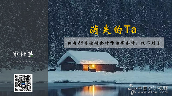 拥有28名CPA的会计师事务所，找不到了