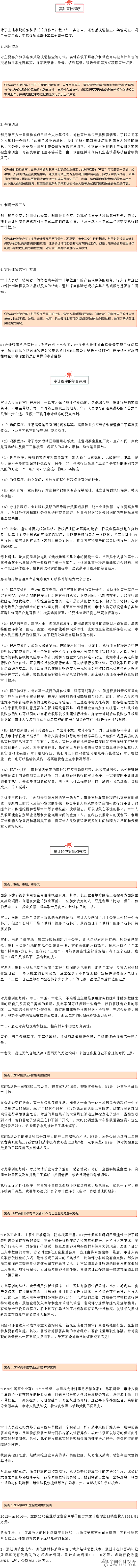 5审计程序的综合运用