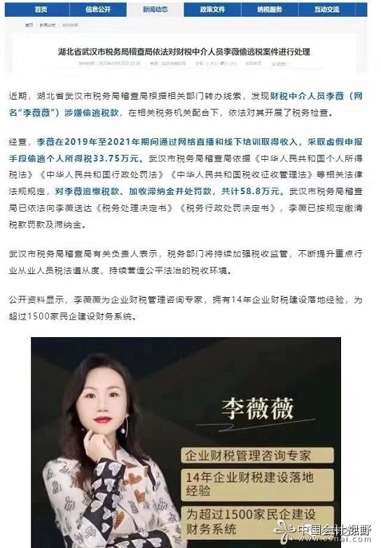 税收筹划大师