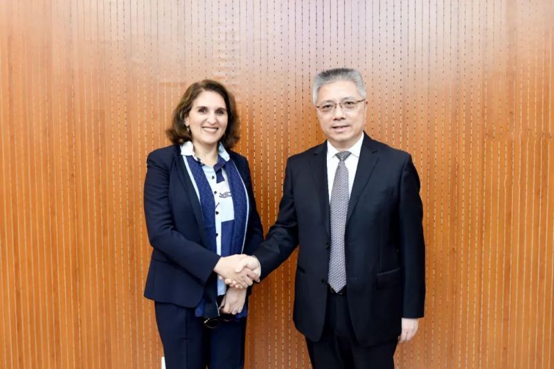 朱忠明会见国际会计师联合会主席